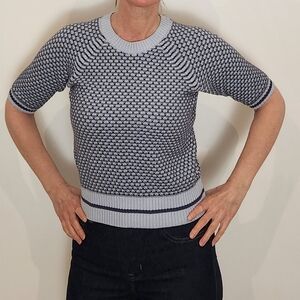 Blue and White Knit Short Sleeve Sweater